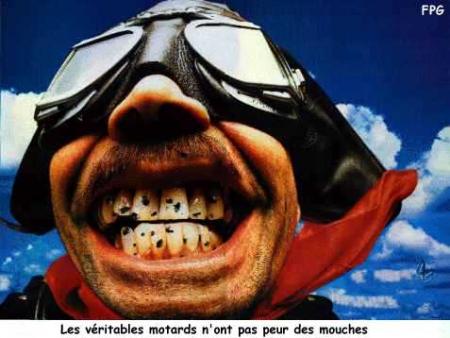 Les motards